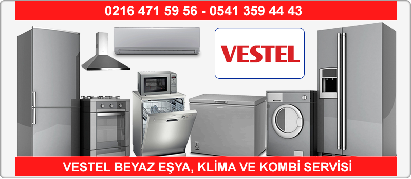 Vestel kurtköy